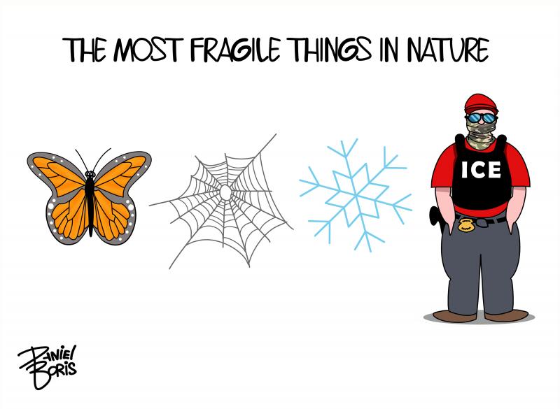 Image shows four things lined up, side-by-side: A Butterfly, spiderweb, snowflake, and an ICE agent. Caption: "The most fragile things in nature."
