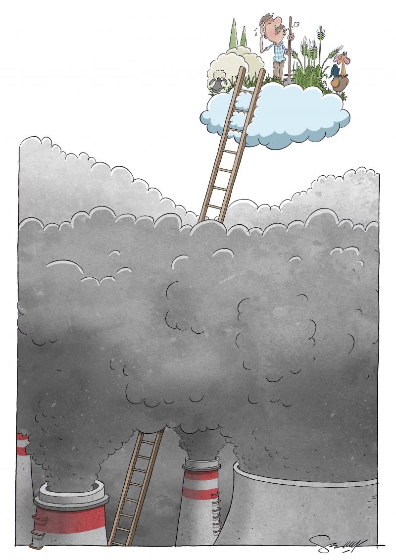 Carbon Emissions
