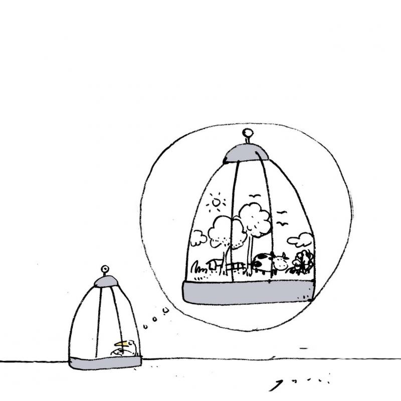 The dream of the captives