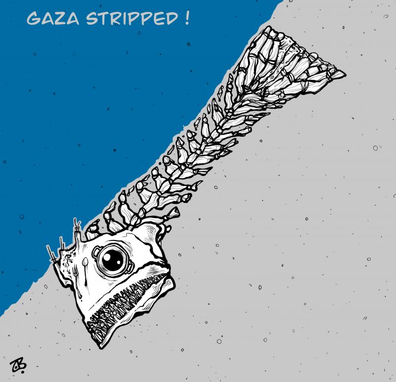 Gaza Stripped !