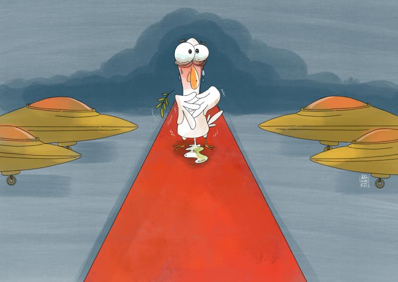Peace dove on red carpet