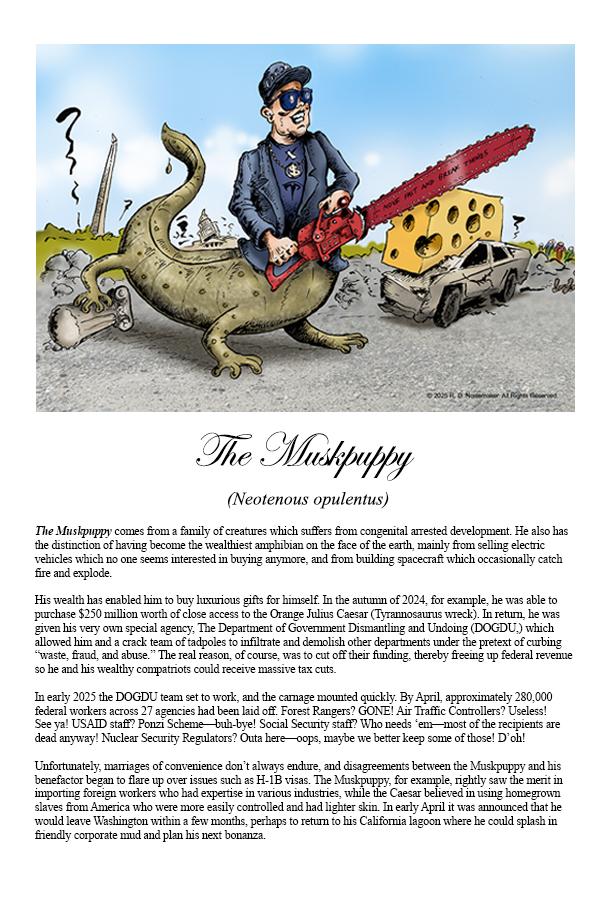 Muskpuppy Image and Description