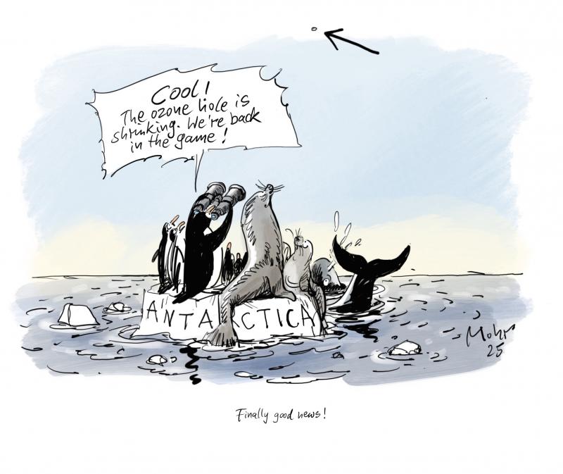 Antarctica animals observing the ozone hole.