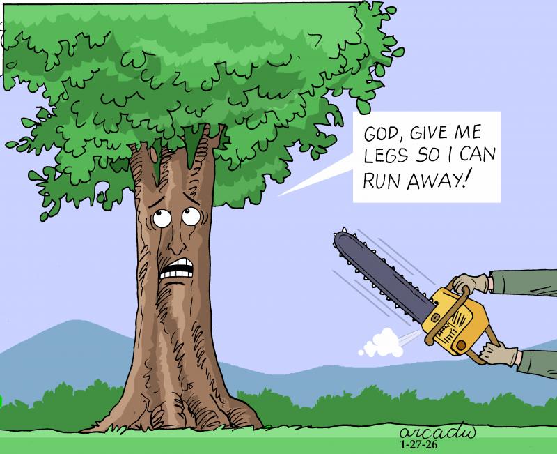 Legs for the trees.