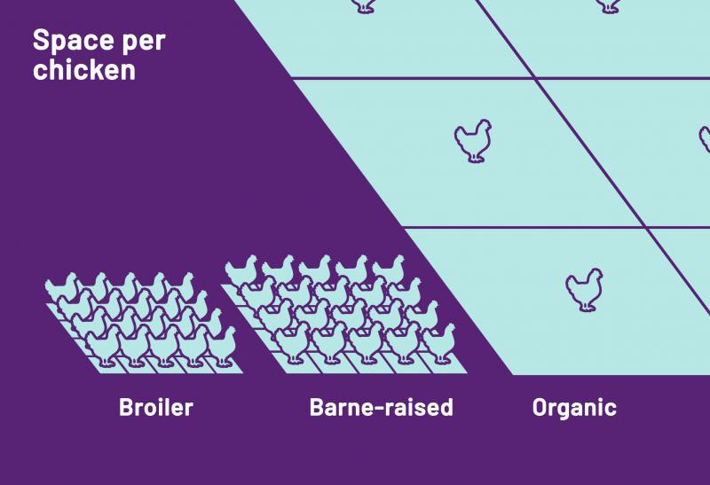 ratios: Space per chicken