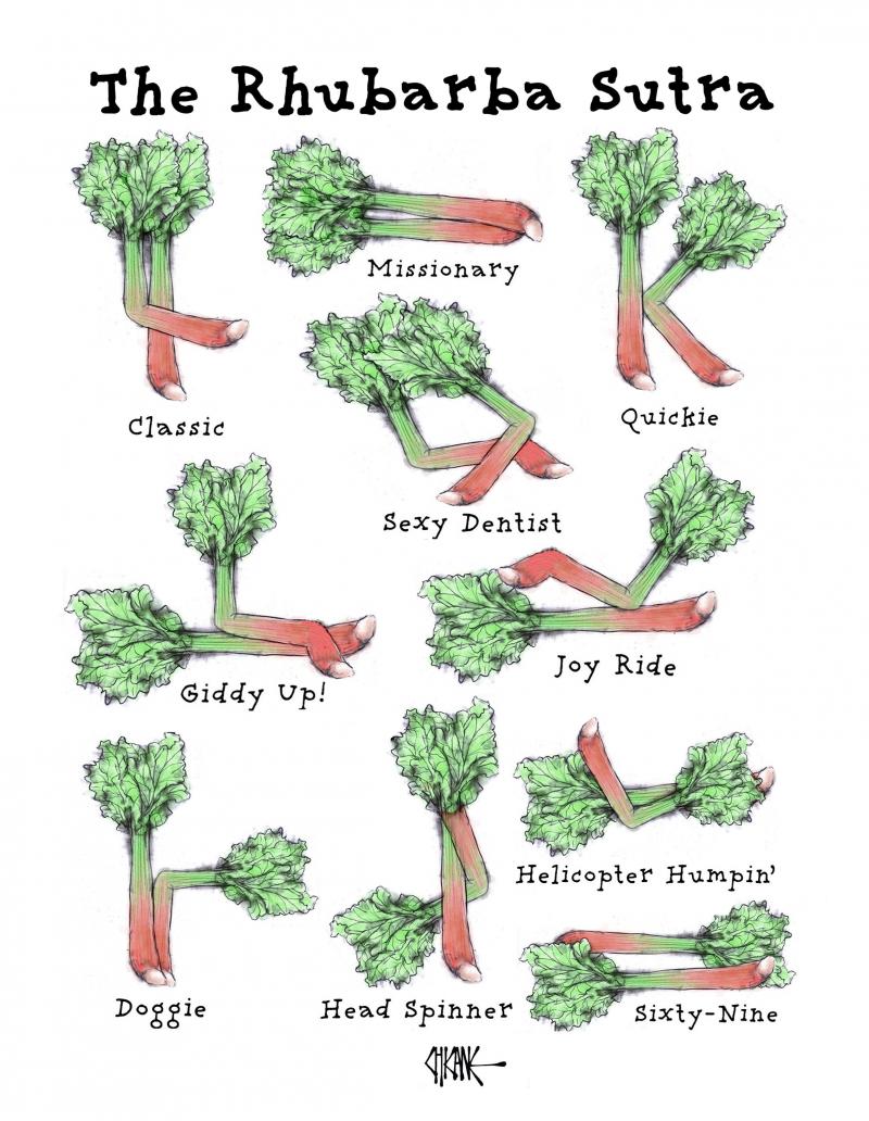 The Kama Sutra, the ancient Indian  text on sexuality, eroticism and emotional fulfillment includes instructions on sex positions... this time demonstrated by rhubarb!