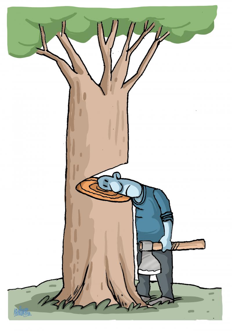 Suicidal deforestation