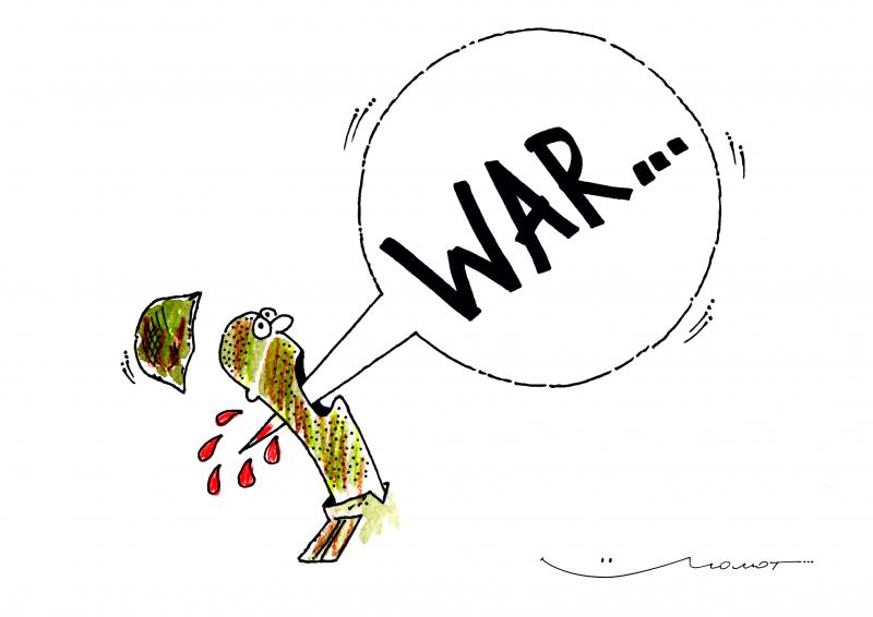 War peace soldier