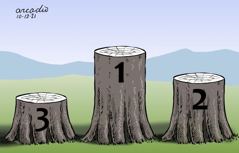Countries around the world continues deforesting the forests.