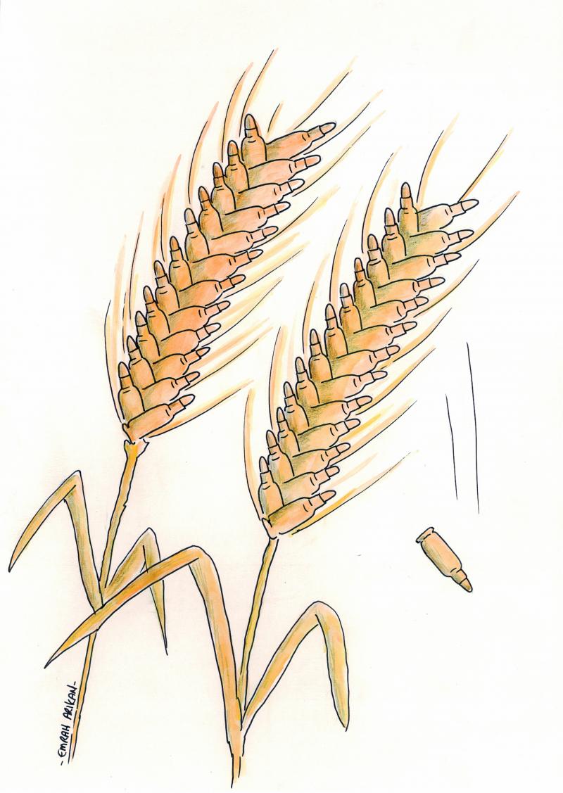 Harvest of War