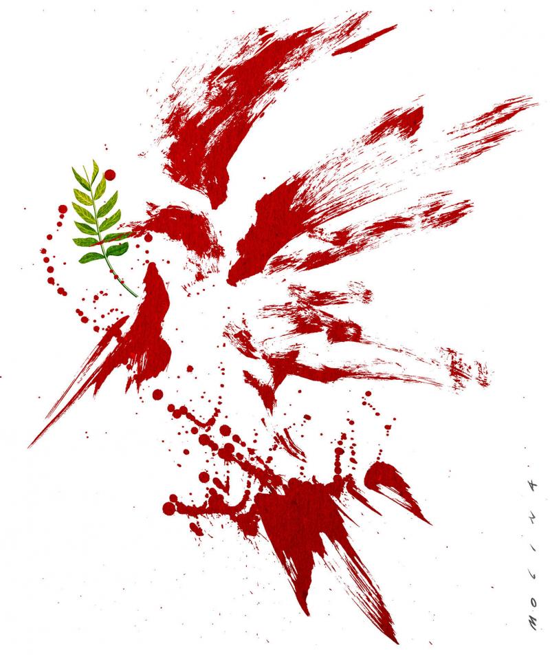 turkey-cartoon-movement