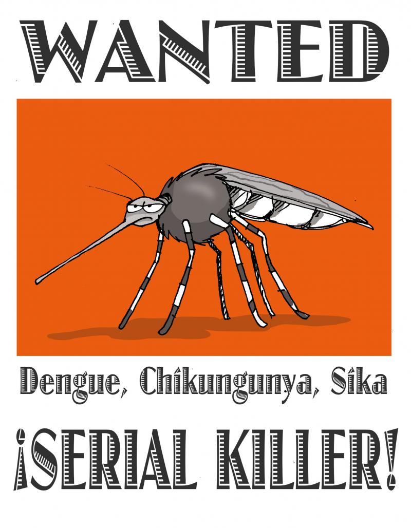 Combating Zika | Cartoon Movement