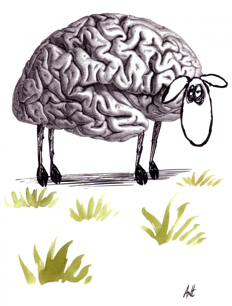 Lost Mind Cartoon Movement