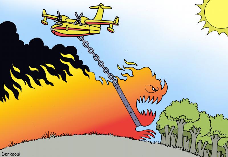 wildfires