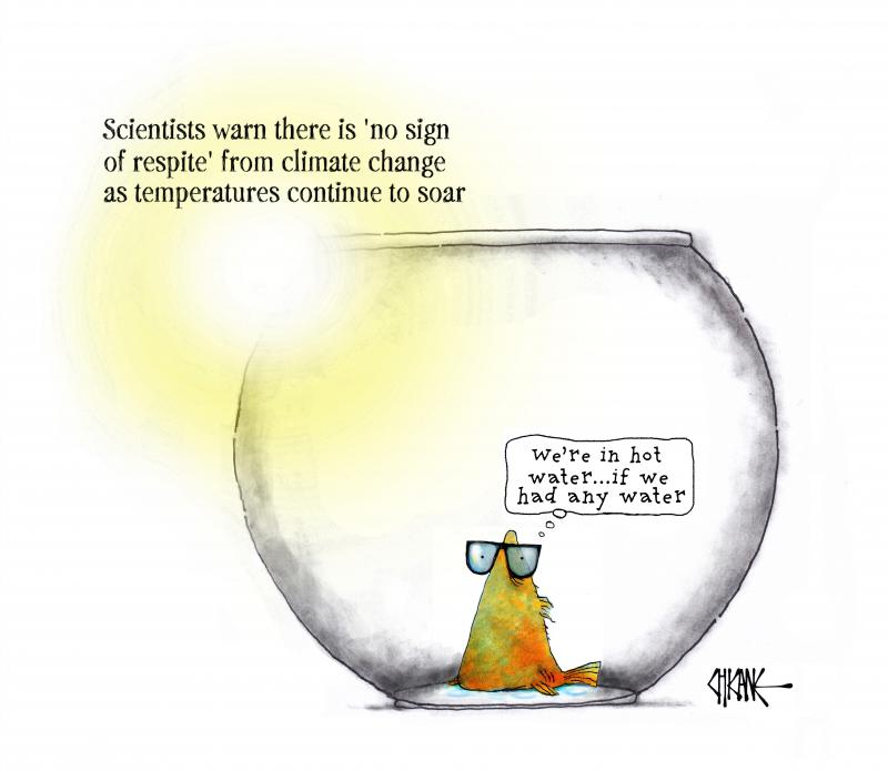 A a fierce sun beats down, a fish, wearing sunglasses sits at the bottom of an empty bowl, lamenting,"We're in hot water...if we had any water."