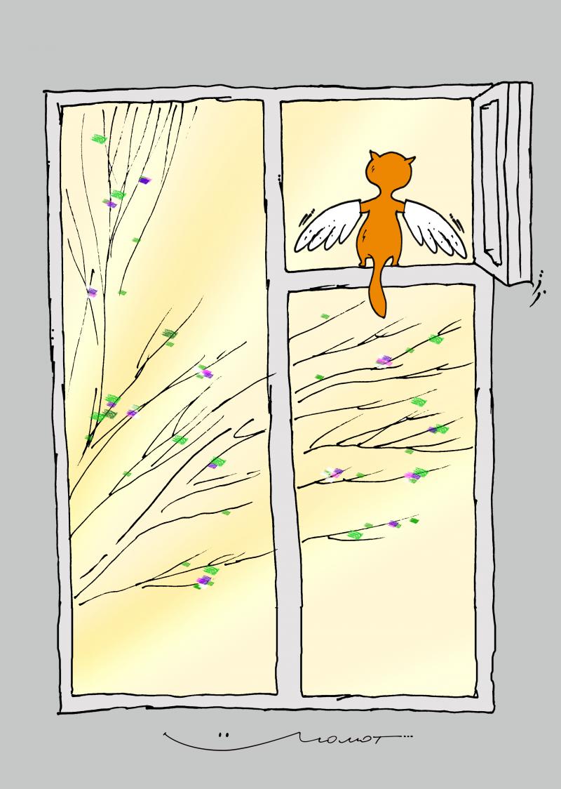 Spring cat