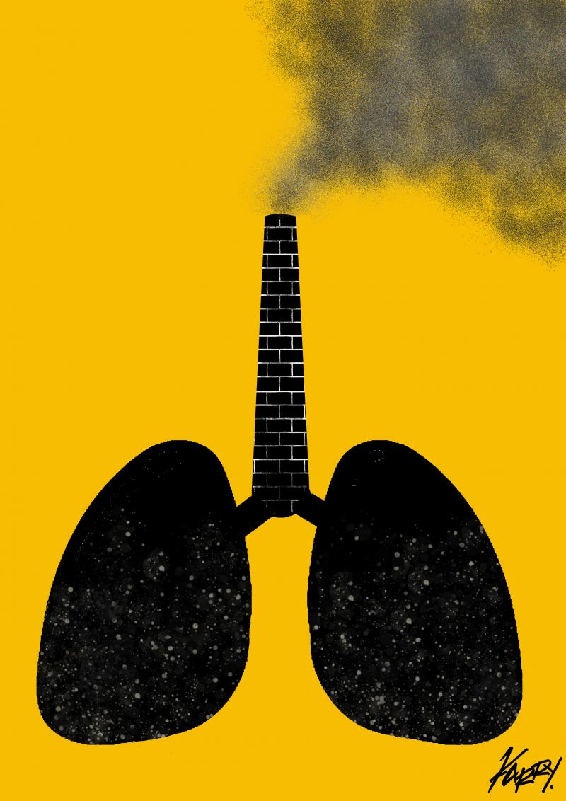 The effects of war on the environment