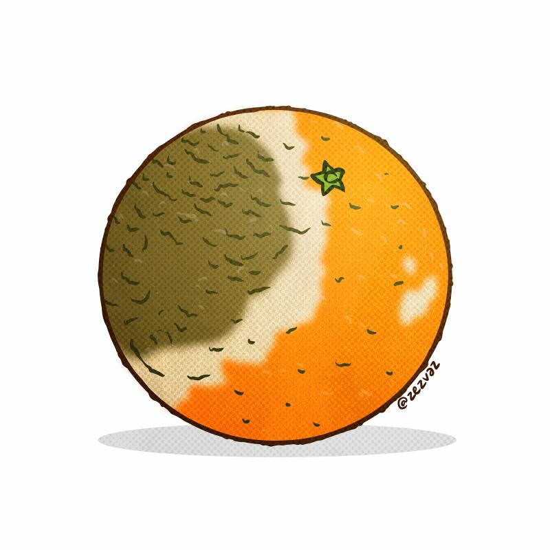 Cartoon by Zez Vaz depicting a rotten orange.