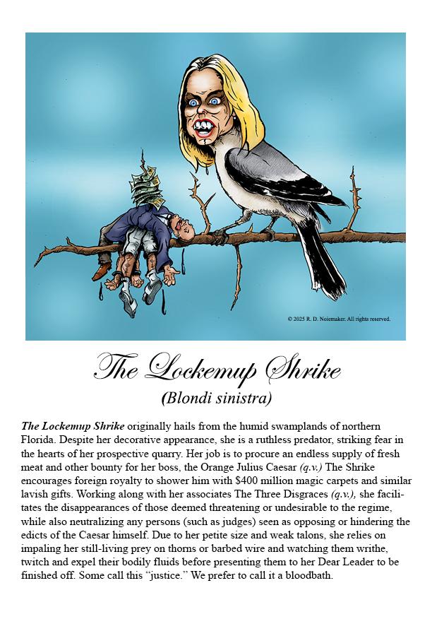 Lockemup Shrike Description