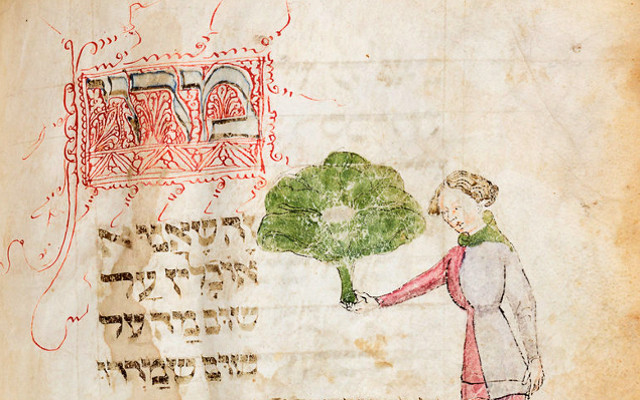 Medieval Haggadah on public exhibit after a century