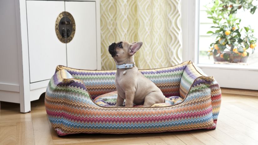 Coussin XXL pour chien