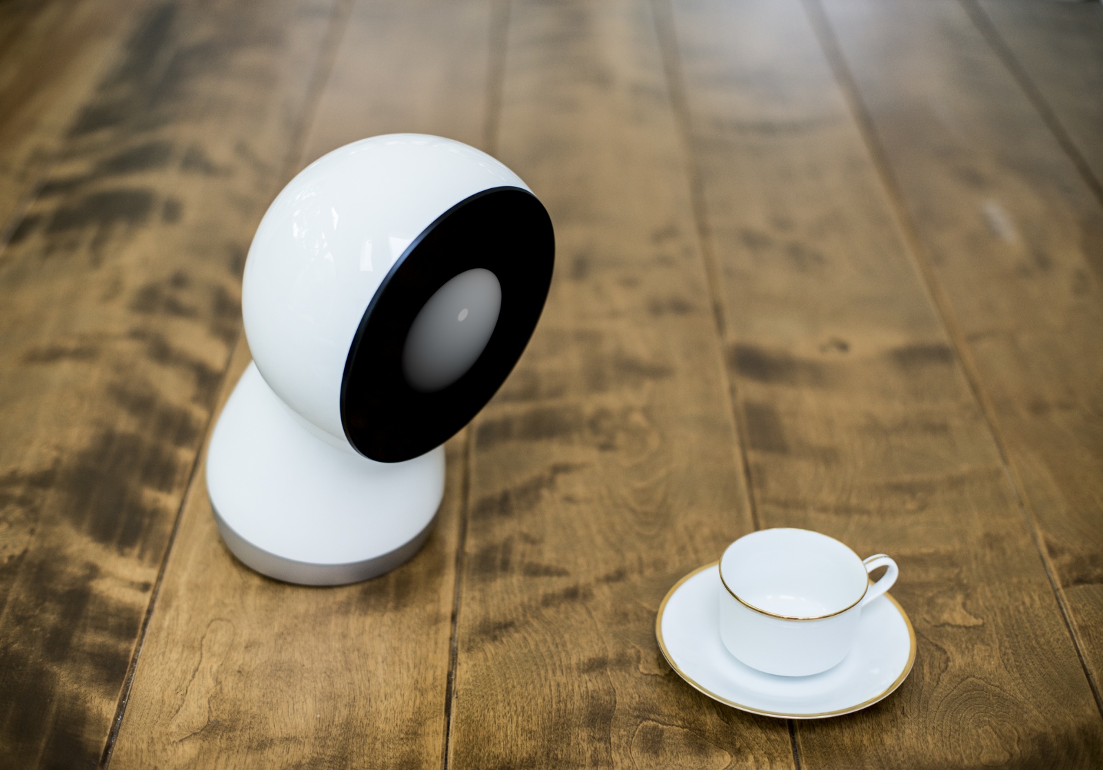 jibo-cup-empty-looking-1600x1117