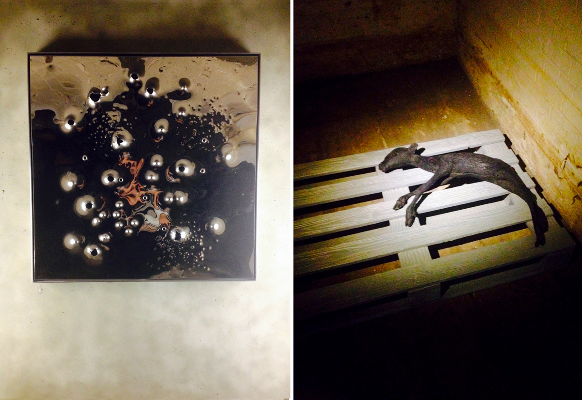 A Beautiful Darkness curated by Nick Knight and SHOWstudio (Photo: Antonia Wilson/CR)