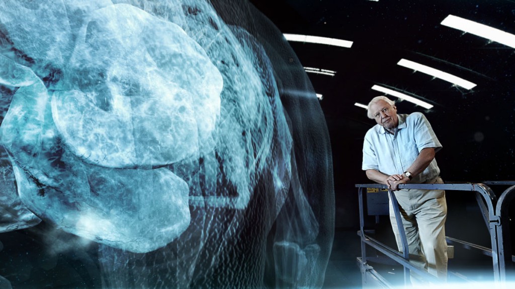 AATGD_STILL_08
