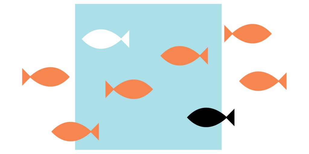 Illustration of different coloured fish