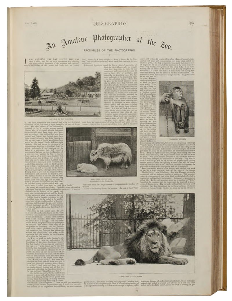 Photographic reportage