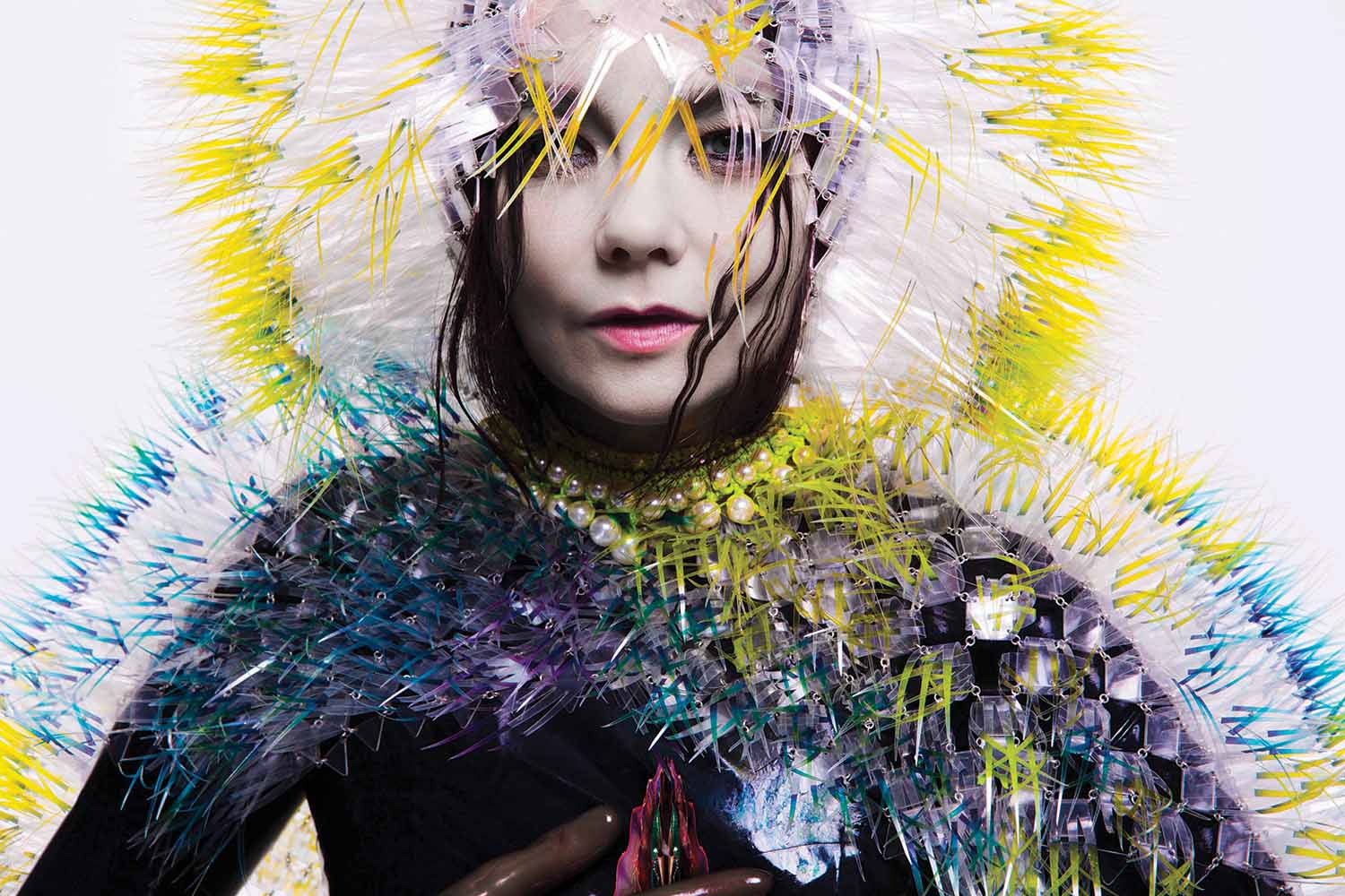 Björk Vulnicura album