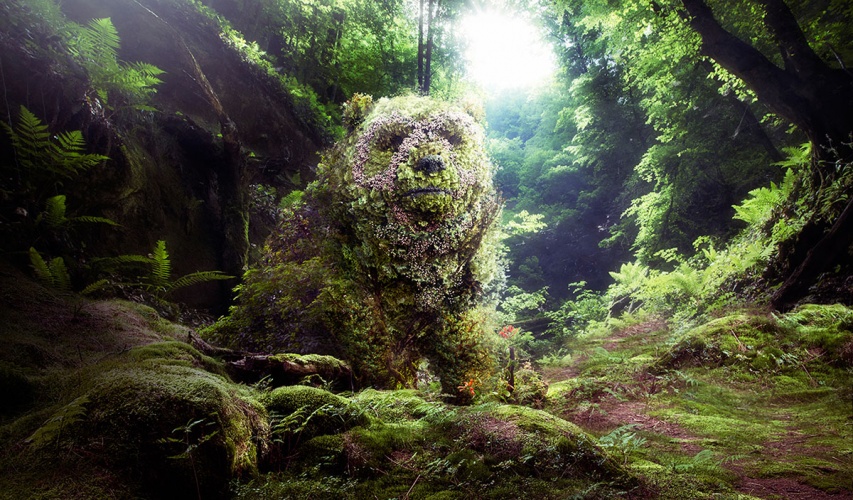 Cordova's work for the Ministry of Environment of Ecuador