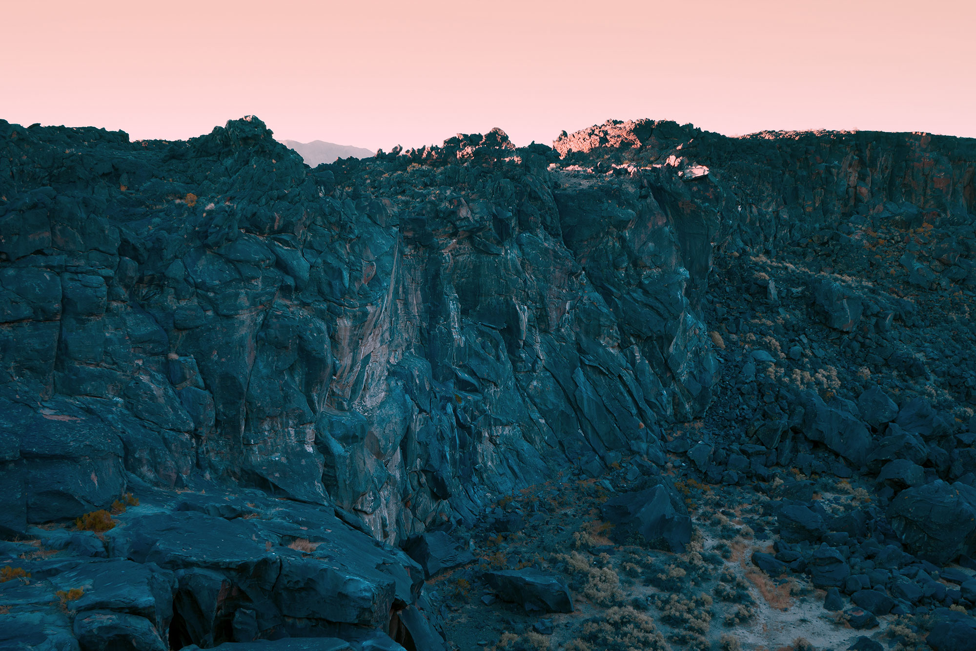 10-bonobo-neil-krug