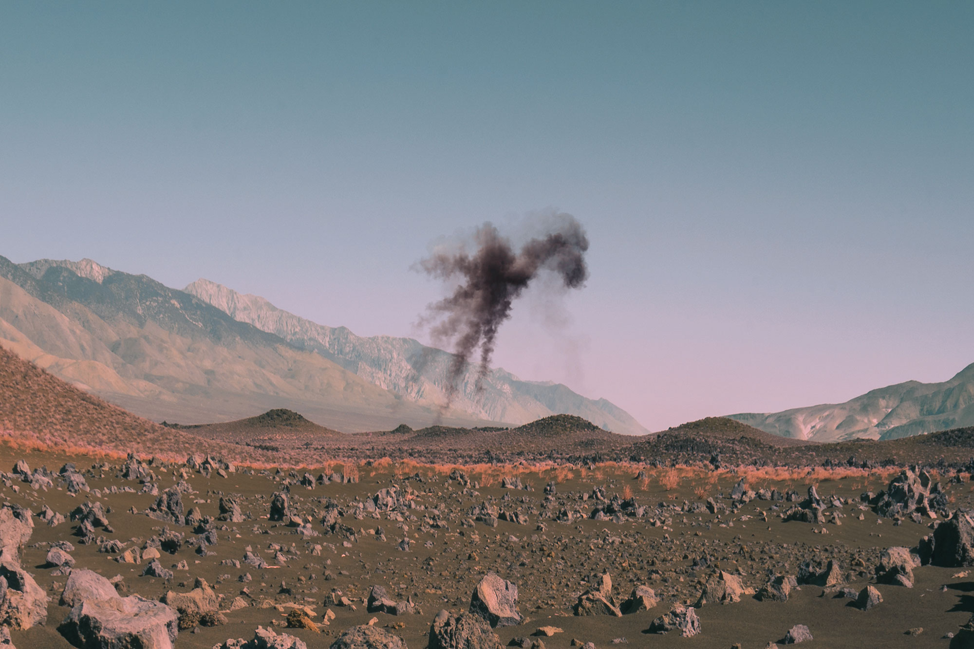 4-bonobo-neil-krug