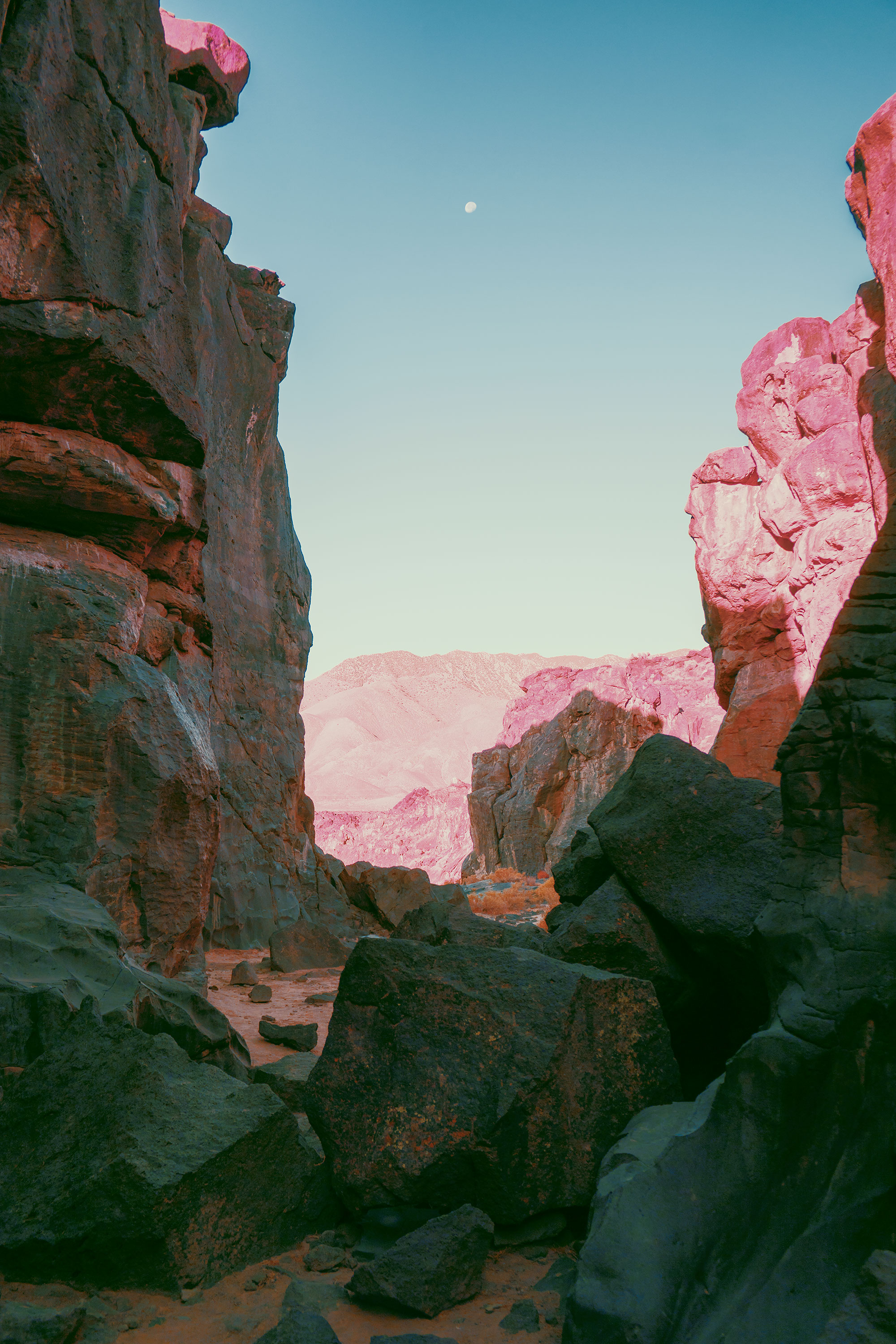 migration_neilkrug_bonobo_1