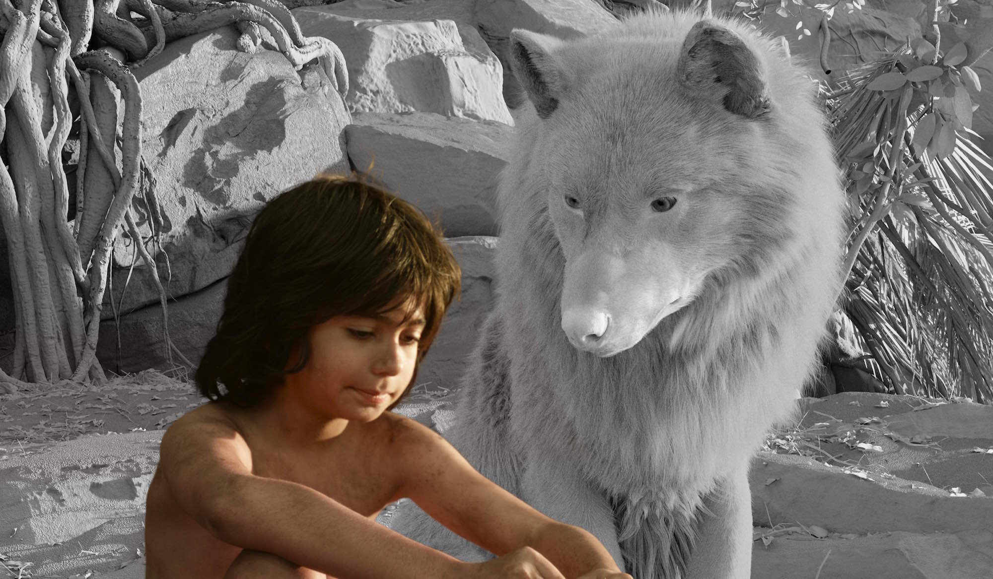 Jungle Book MPC