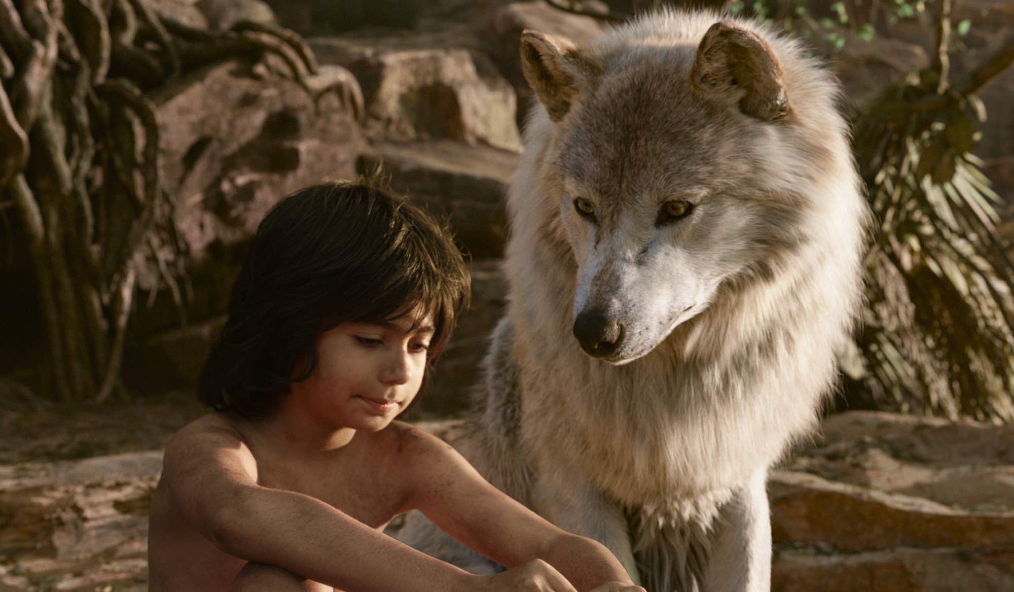 Jungle Book MPC