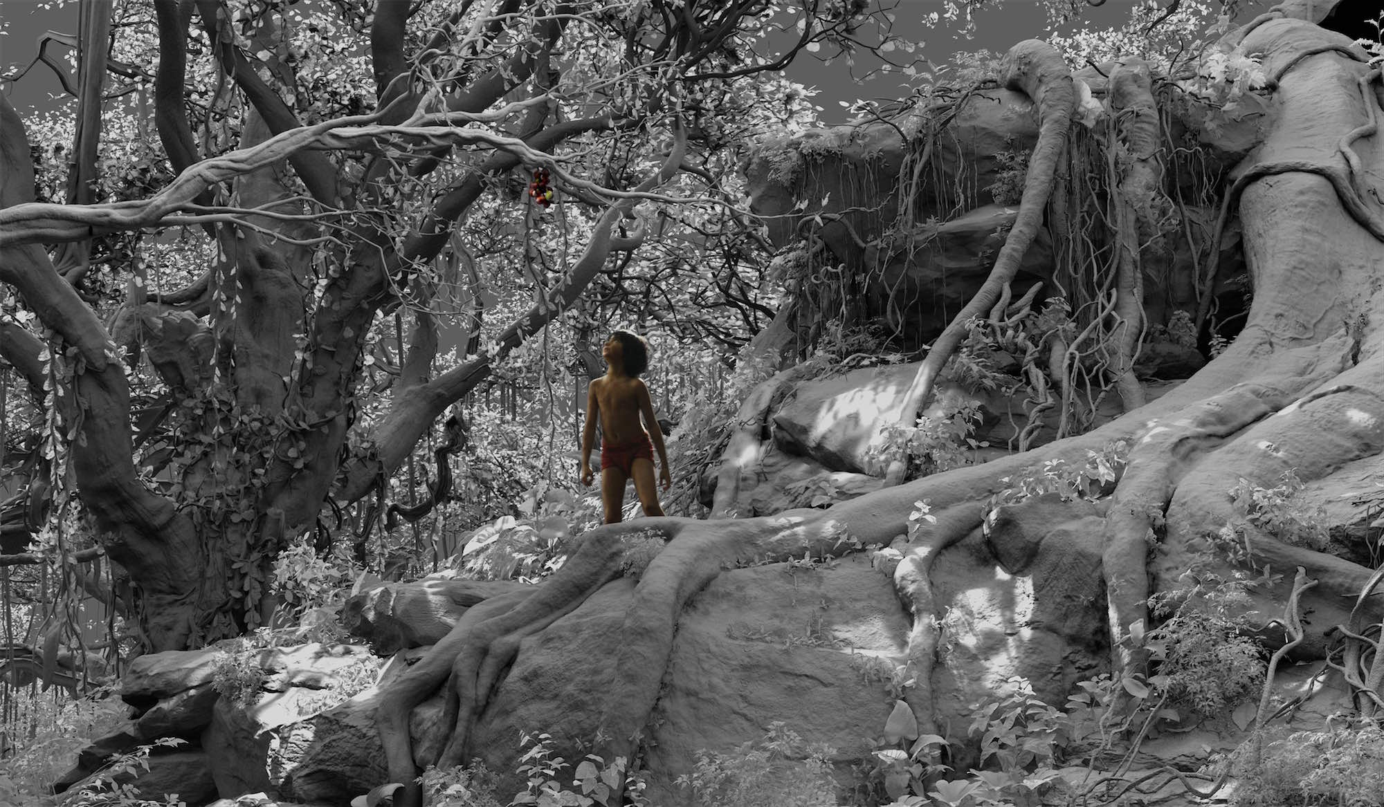 Jungle Book MPC