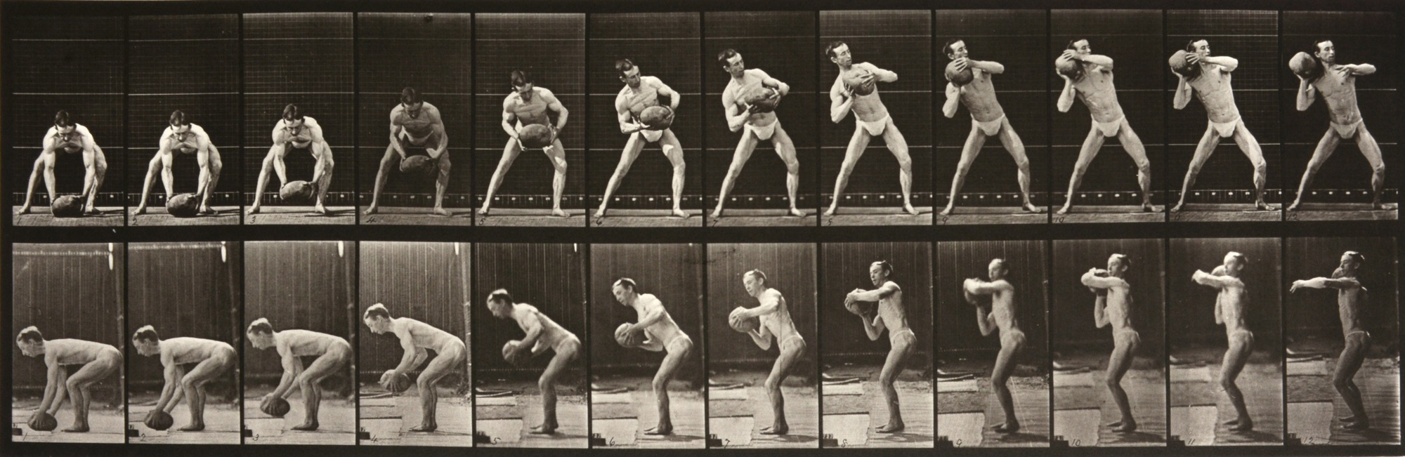 eadweard muybridge animal locomotion exhibition creative eadweard muybridge