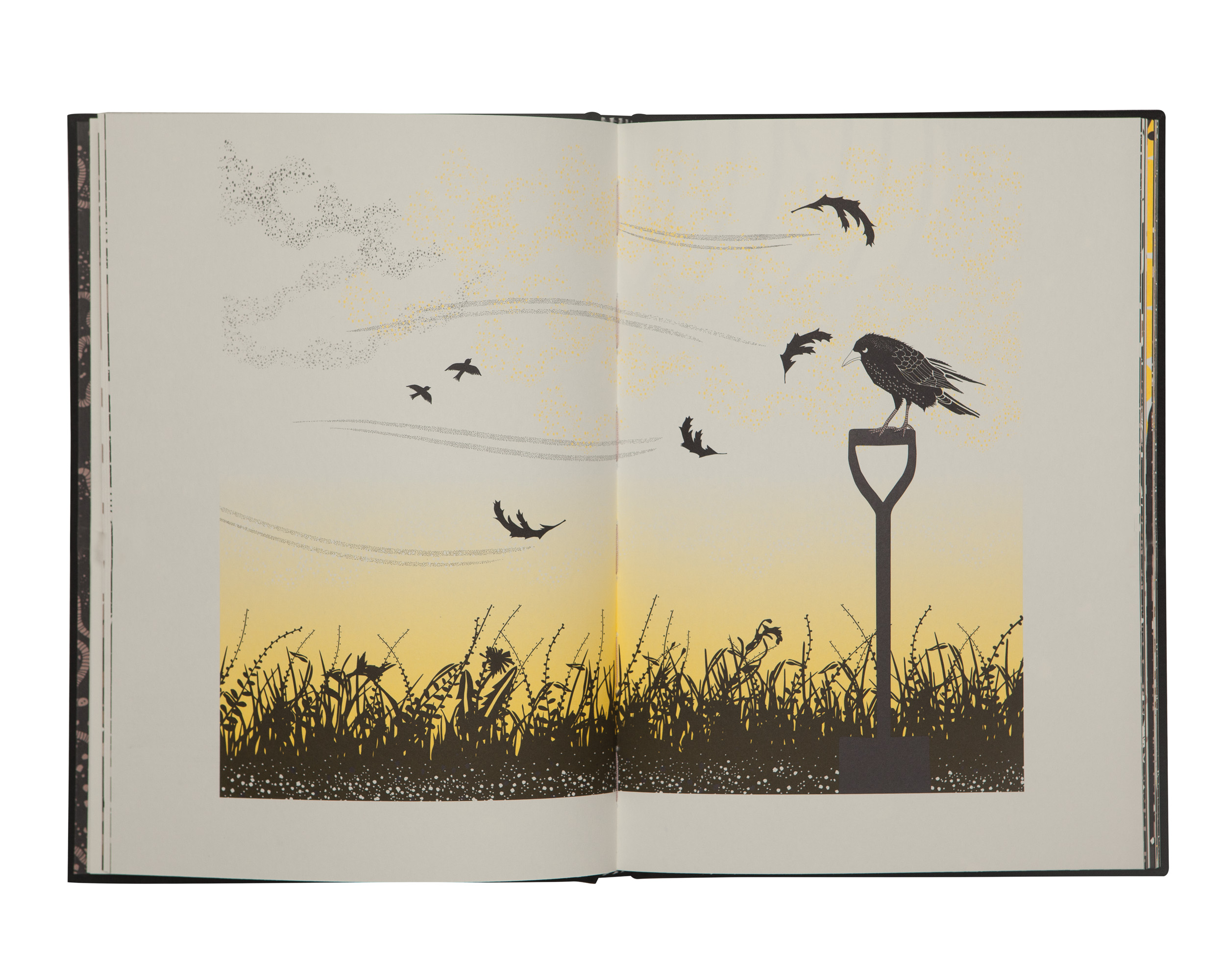 The Worm and the Bird