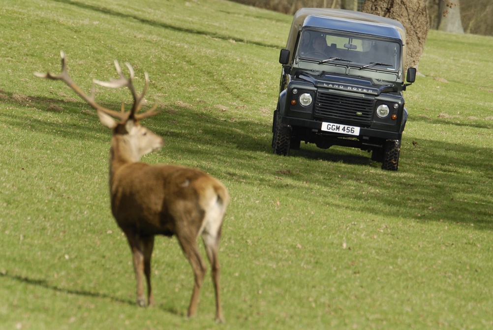 Land Rover Defender 2007 in the Deer Park