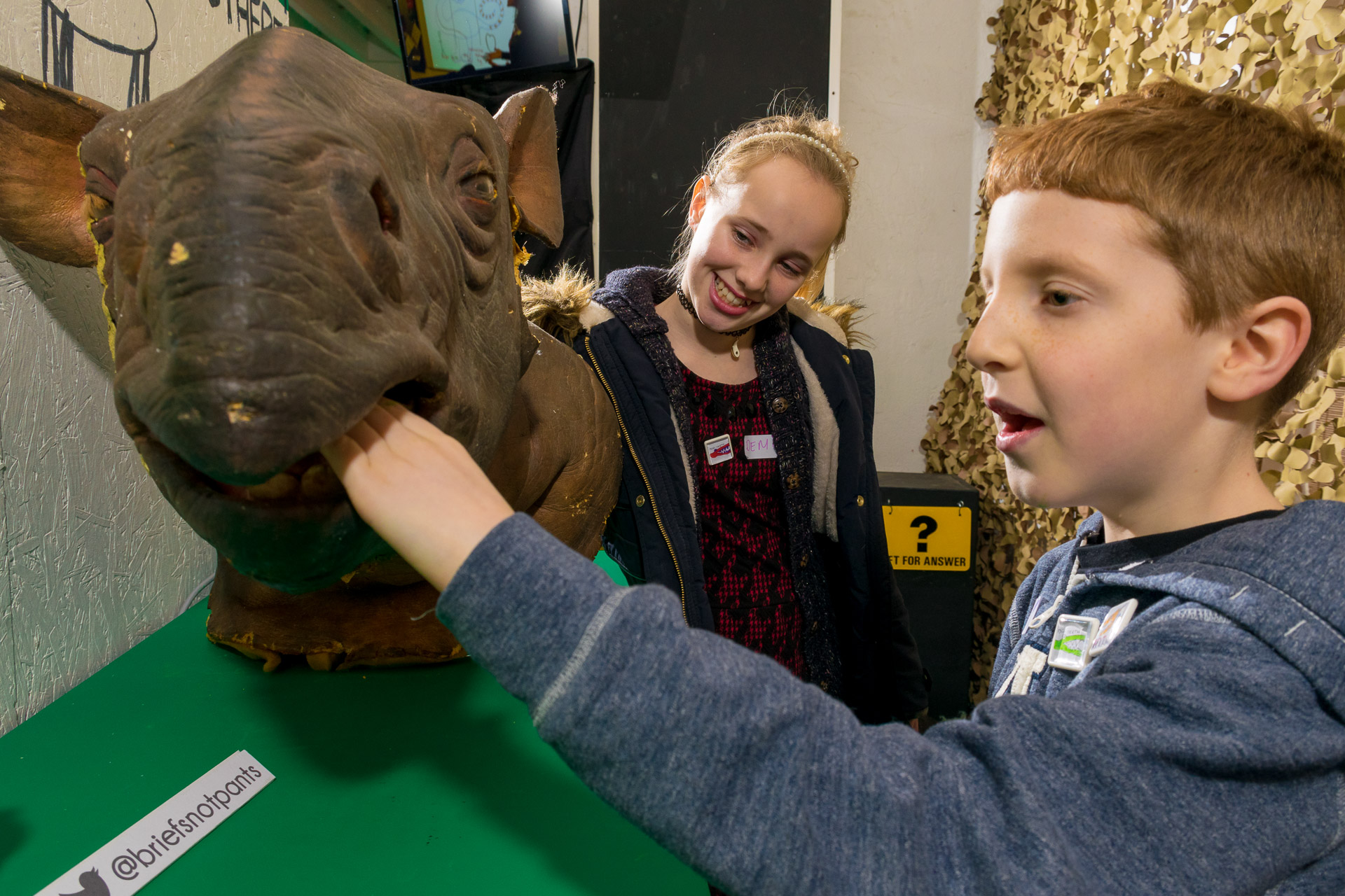 Creating the Dinostar exhibition