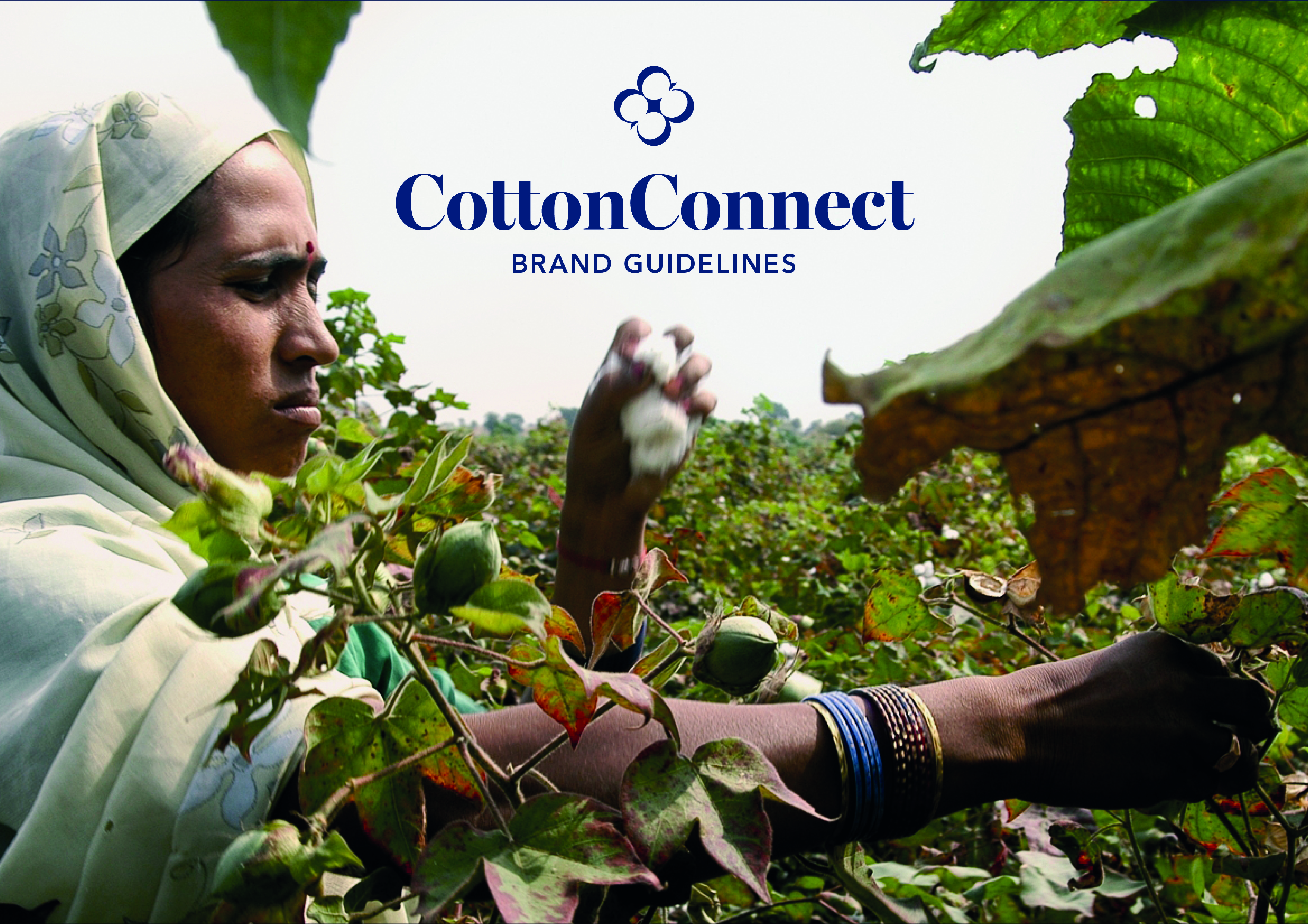 COTTON_CONNECT MASTER BRAND