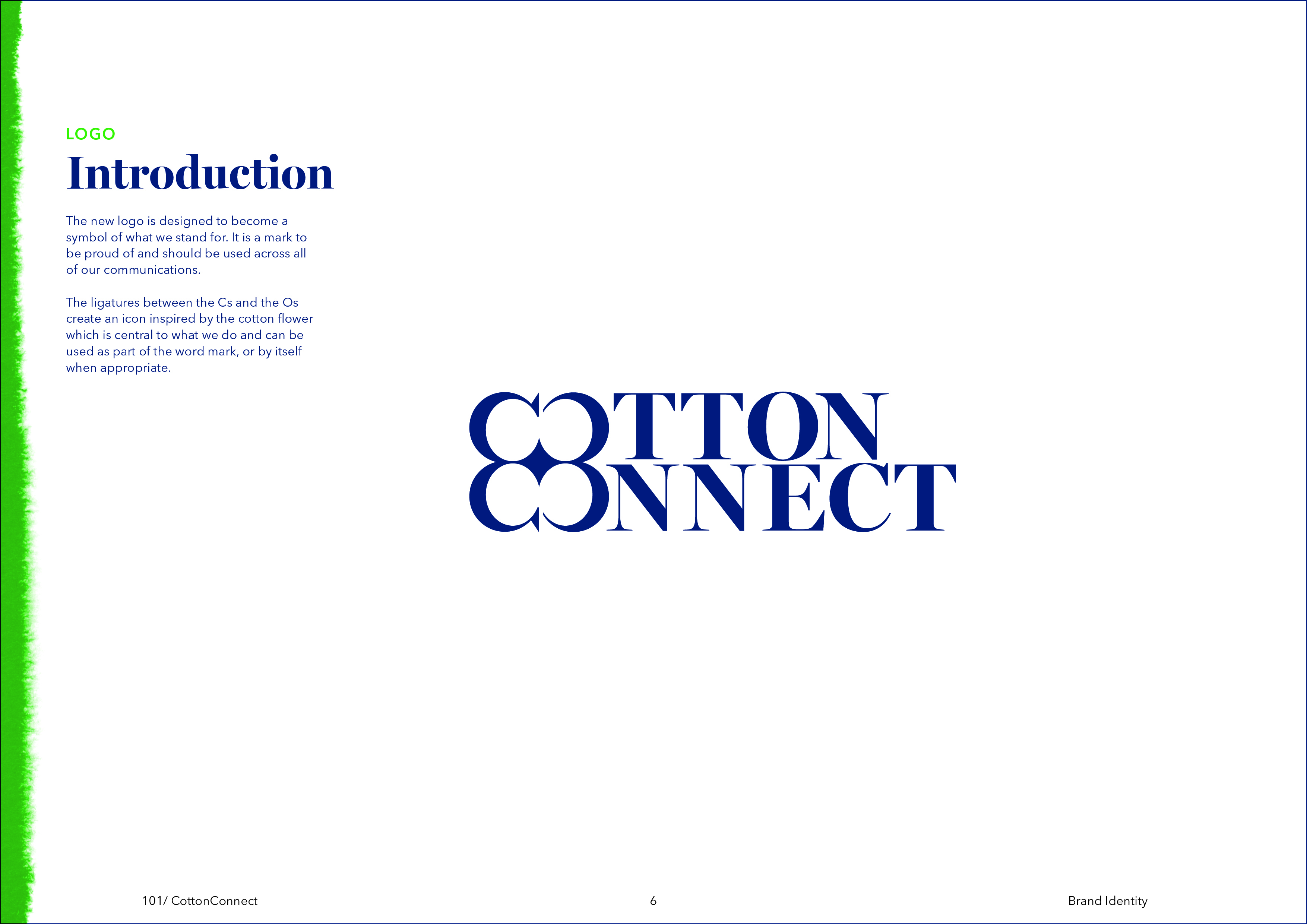 COTTON_CONNECT MASTER BRAND6