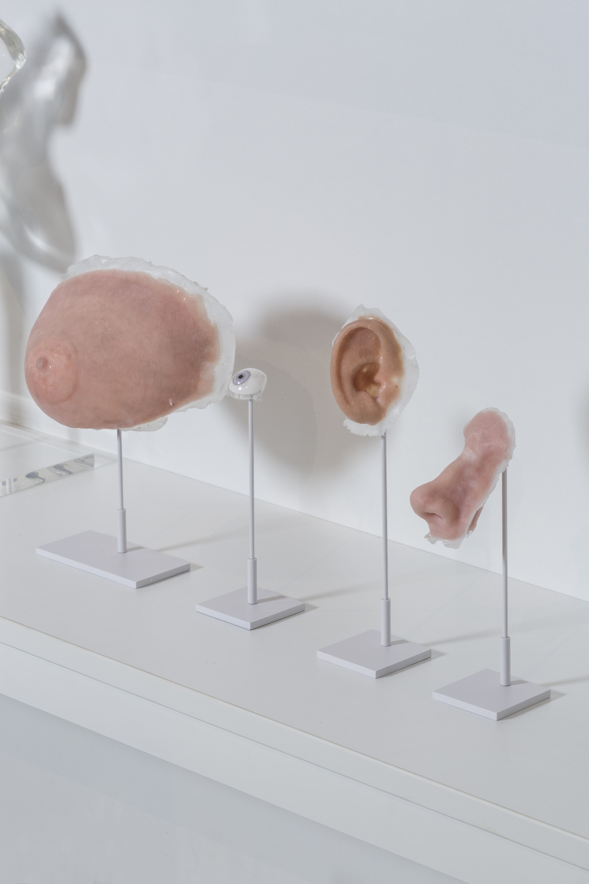 Medical prosthetics -breast, eye, ear, nose by Fripp Design & Research. Photo © Museums Sheffield