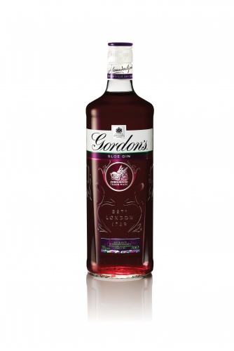GORDON'S_Bottle70cl_Sloe