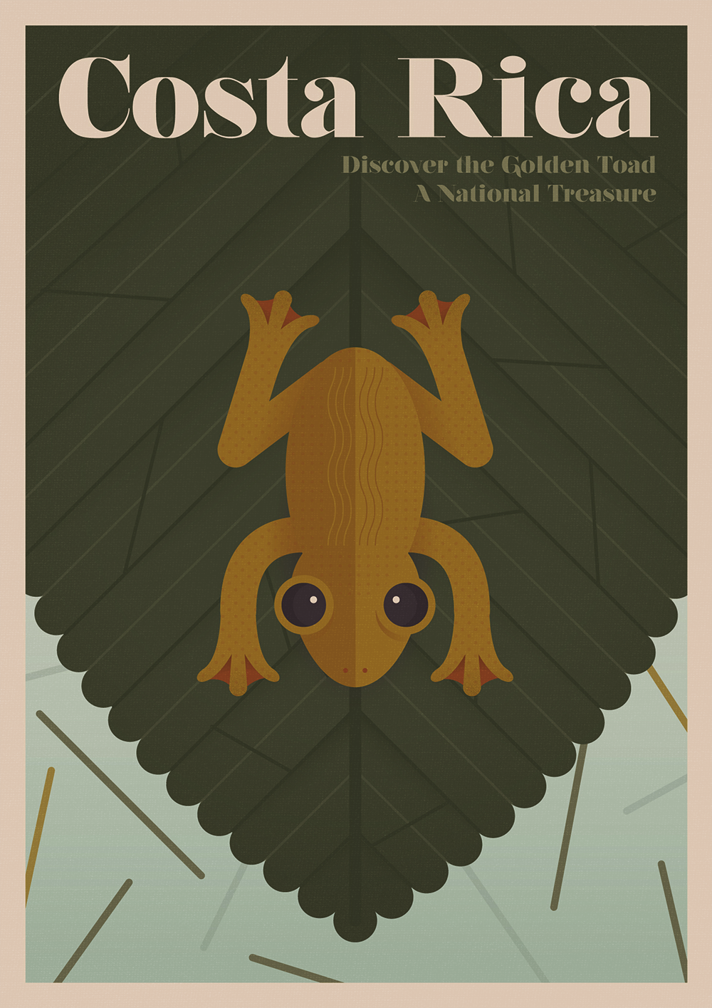 Costa Rica - Golden Toad