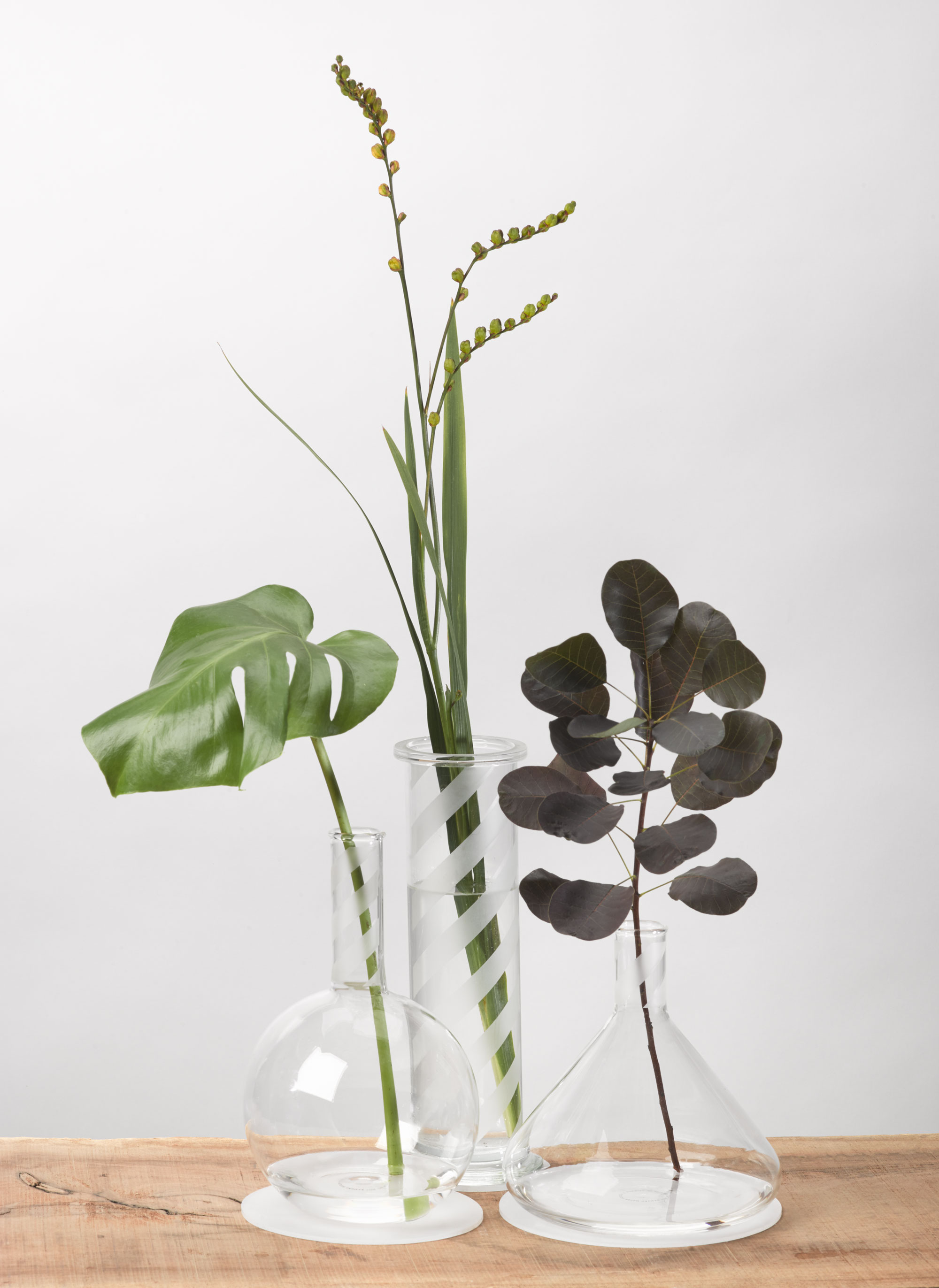 flowers_2_5