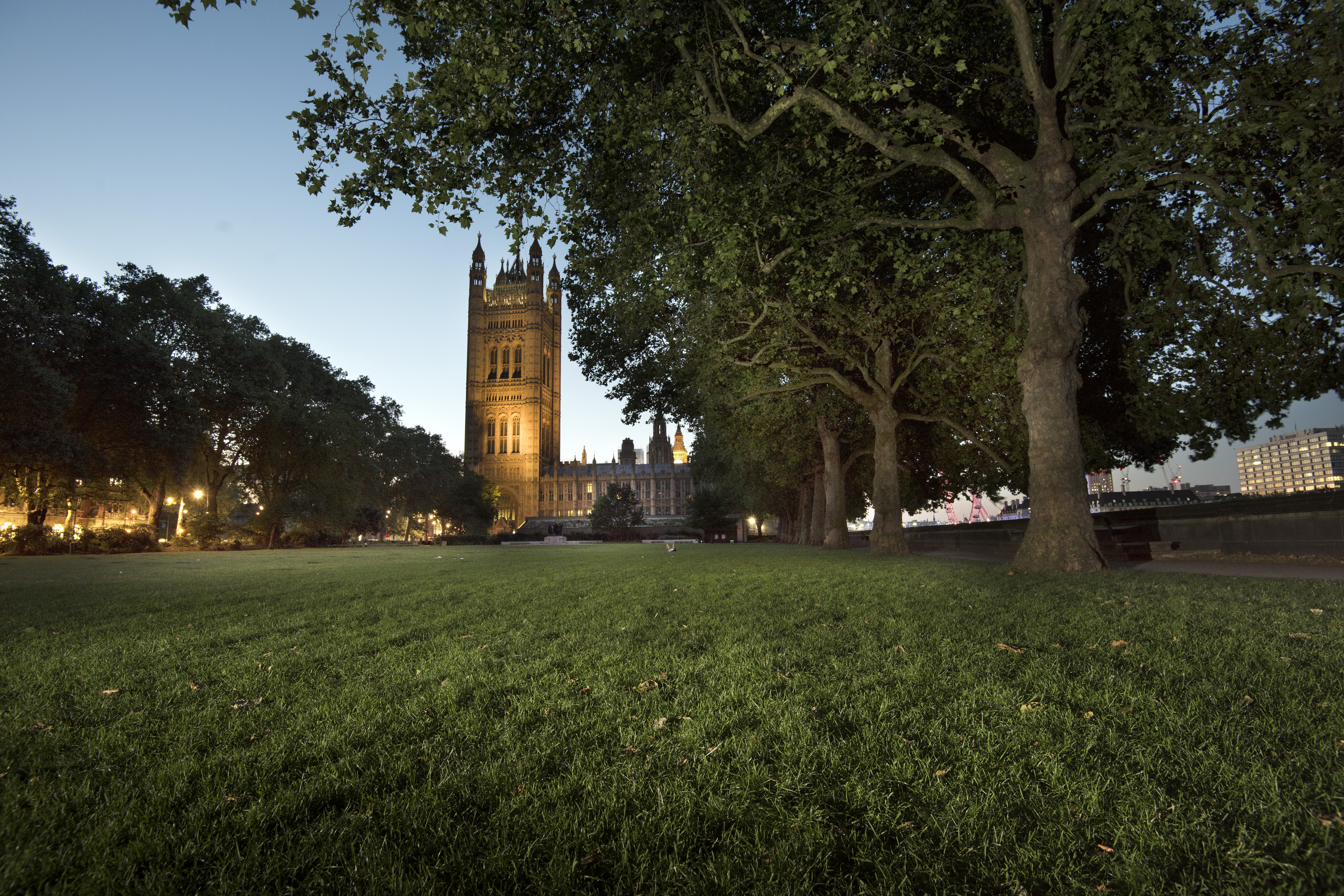 Photograph by Emily Whitfield-Wicks. Victoria Tower Gardens, Westminster, London.