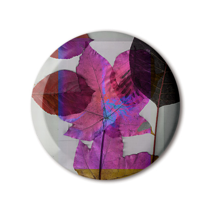 b1191b16_agathejacquillatfl33_47
